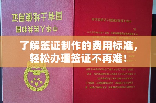 宿松了解签证制作的费用标准，轻松办理签证不再难！