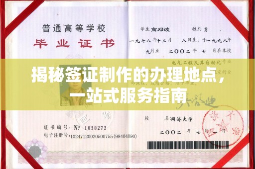 宿松揭秘签证制作的办理地点，一站式服务指南